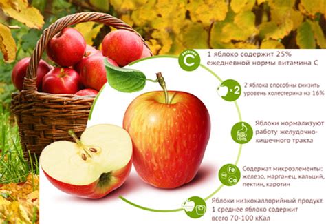 Яблоко - калорийность, полезные свойства, польза и вред, описание ...