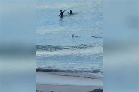 Shark Gets Eerily Close To Two Miami Beachgoers Wide Open Spaces