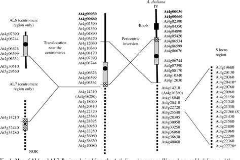 Figure 1 From Edinburgh Research Explorer Comparative Gene Mapping In Arabidopsis Lyrata