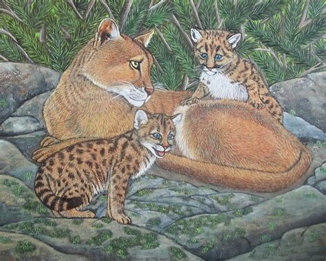 Mountain Lions Pumas Cougars Mama And Cubs Painting By Sofya Mikeworth