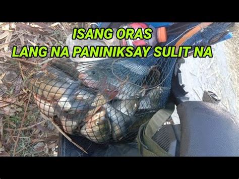 Isang Oras Lang Na Paniniksay Sulit Na Airgun Fishing Hunting Tiksay