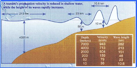 How Tsunamis Form Diagram