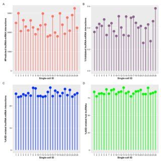 Cell Specific Lncrna Mrna Interactions And Hub Lncrnas In Gw