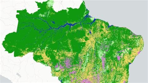 Amazônia perdeu 18 da área de floresta em três décadas Giuliano Ribeiro