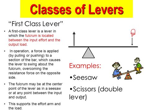 First Class Lever Seesaw