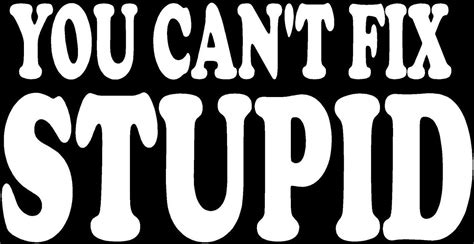 You Can T Fix Stupid Vinyl Sticker