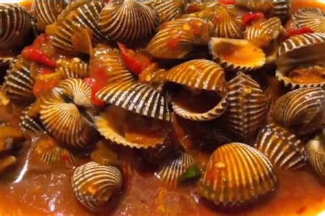 Resep Cara Memasak Kerang Dara Saus Padang Dengan Bumbu Yang Meresap