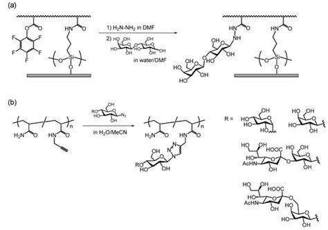 Polymers Free Full Text Recent Advances In Polymers Bearing