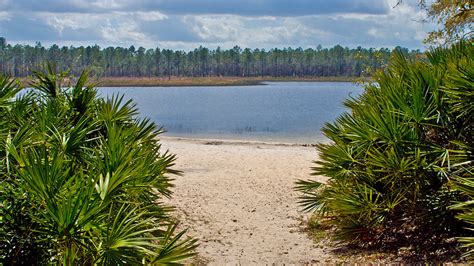 Clearwater Lake, Ocala National Forest – Florida Hikes