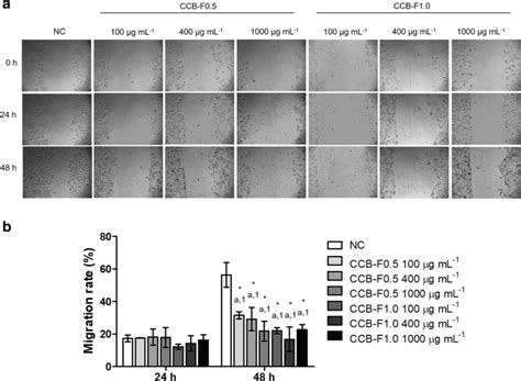 Inhibition Of B16 F10 Cell Migration Assessed By The Wound Healing