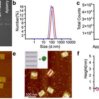 Design Of An Aptamer Functionalized DNA Origami Nanoarray For