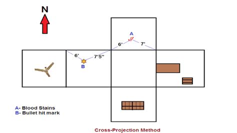 Crime Scene Sketching: Unveiling Details in Two Forms