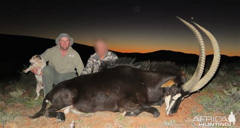 Sable Antelope Hunting South Africa | AfricaHunting.com