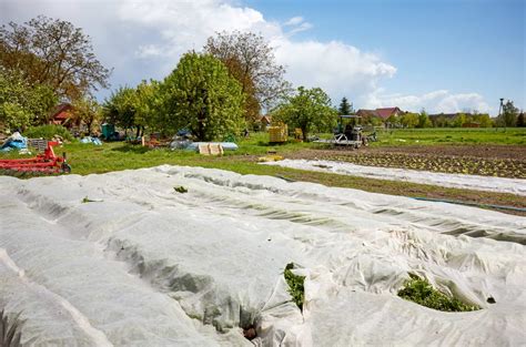 Agrowłóknina czym jest jakie są jej rodzaje Gardenportal pl