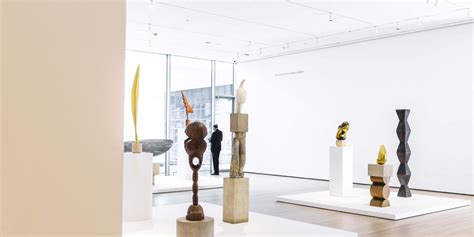 Museum of Modern Art (MoMA) NYC • Complete GUIDE [UPDATE 2025]