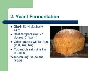 Examples of fermentation- Pharmaceutical Microbiology | PPT | Free Download