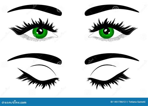 Web Vector Illustration Beautiful Female Green Eye Stock Illustration