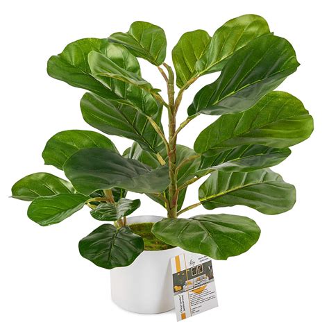 Buy Fiddle Leaf Fig Tree Artificial 18 Inch Ficus Lyrata Faux Fig For