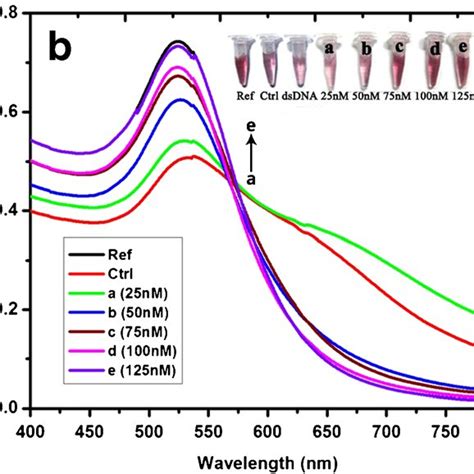 Uv Vis Absorbance Spectra Of Kb A And Kb B Ssdna Stabilized