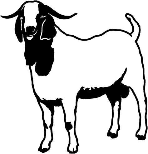 Boer Goat Clipart | Free download on ClipArtMag