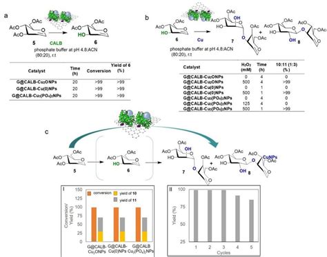 A Regioselective Enzymatic Hydrolysis Of Peracetylated Glucal 5