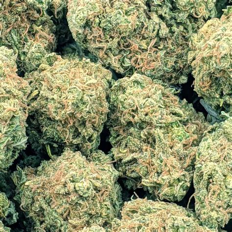 Budget Buds God S Gift Buy Weed Online Online Dispensary