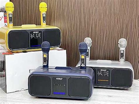 Loa karaoke mini SDRD SD-318, kèm 2 mic không dây