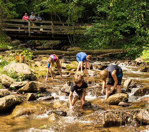 Spring Camping Tips - Amicalola Falls State Park & Lodge - Dawsonville, GA