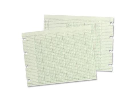 Wilson Jones Ledger Sheet Col Dbl X Pk Green G