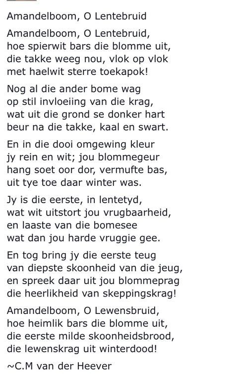 51 Afrikaanse Gedigte Ideas In 2021 Afrikaans Afrikaans Quotes Poems