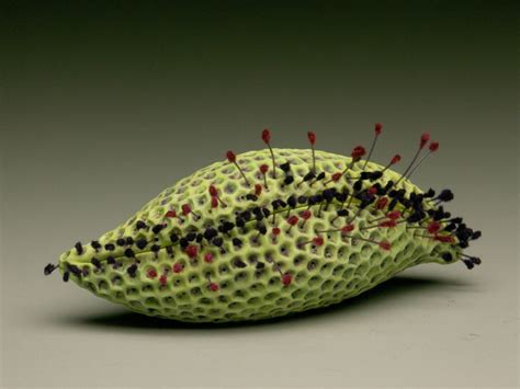 Biomorphic Forms Ceramics Botanical Ceramic Art