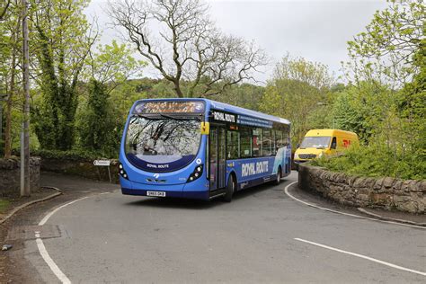 First Midland Bluebird Donaldstirling