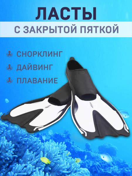 Ласты - купить с доставкой по выгодным ценам в интернет-магазине OZON ...