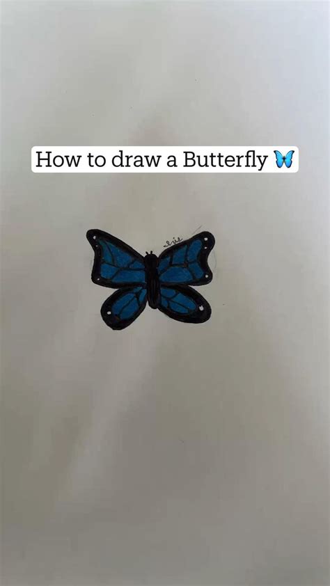 How To Draw A Butterfly Drawings Butterfly Draw