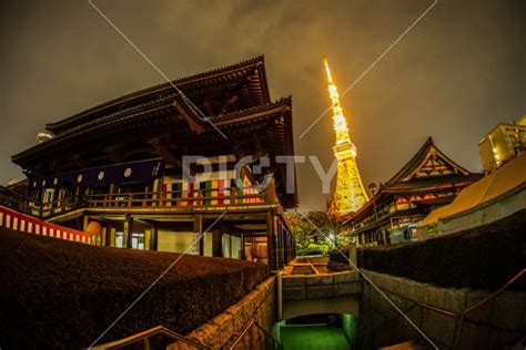 増上寺と東京タワーの夜景 Id 14049 ご当地写真・イラスト素材サイト Picty ピクティ