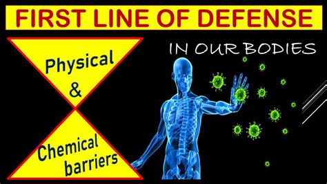 First Line Of Defense In Immune System Outline Idea Of Physical And