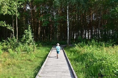 Poleski Park Narodowy I Jego Atrakcje Places Visit Pl