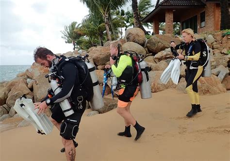 What Is Padi Self Reliant Course Be Safe Diving Alone Be A Better Buddy