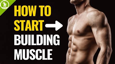 How To Start Building Muscle (For Beginners) – WeightBlink