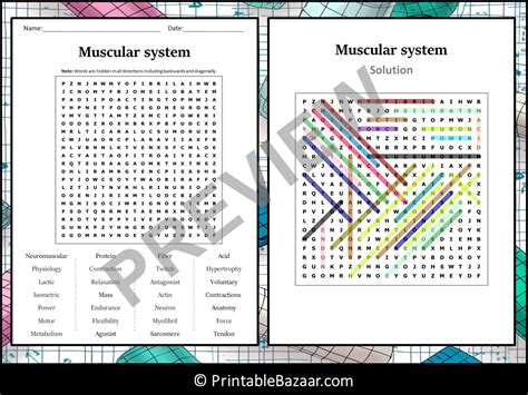 Muscular System Word Search