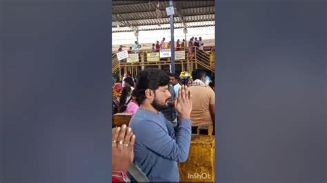 Gangi Regi Chettu Teluguvlogs Komaravelli Mallikarjuna Templesvlogs