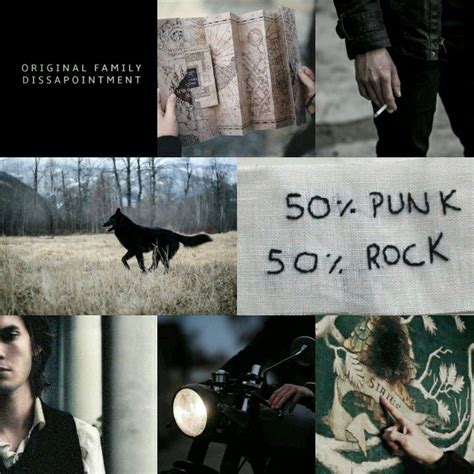 Sirius Black aesthetic | Harry potter aesthetic, Sirius black, Sirius