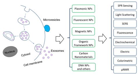 Overview of the application of nanomaterials and detection methods for ...