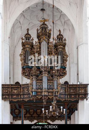 Famoso PIPE ORGAN Barroco en gótico Archcathedral Basílica de la