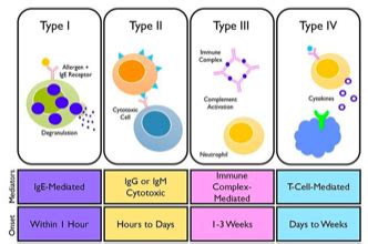 Clinical Immunology Flashcards Quizlet