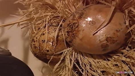 Milf Porno Videos In Voller L Nge Xhamster