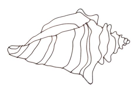 Conch Shell Drawing Easy Images And Photos Finder