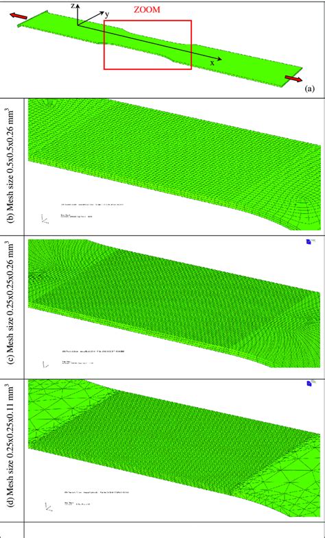 mesh   specimen definition   mesh size located