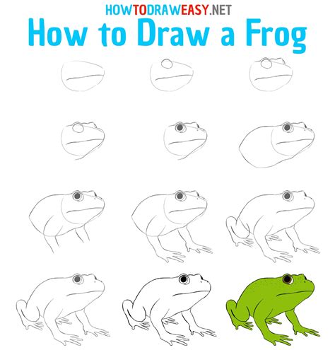 draw  frog   draw easy