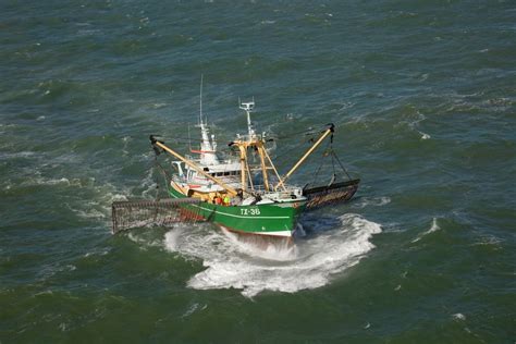 Our Ocean Conferentie Legt Vinger Op Zere Plek VisNed